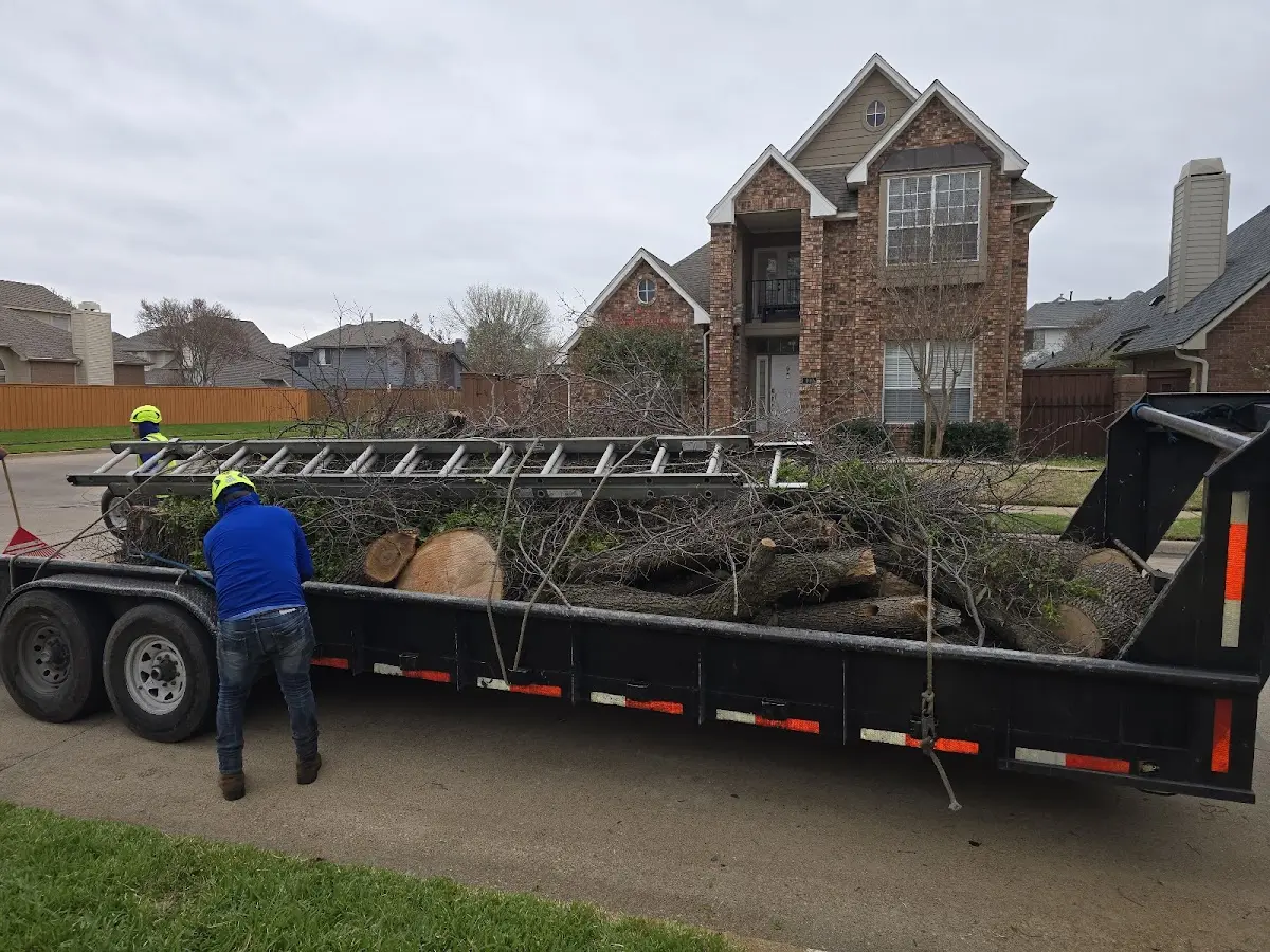 Expert Tree Fertilization with proper safety equipment in Opelika